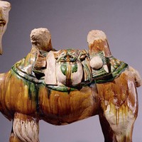 三彩駱駝藏品圖，第8張